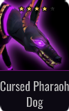 Assassin Cursed Pharaoh Dog